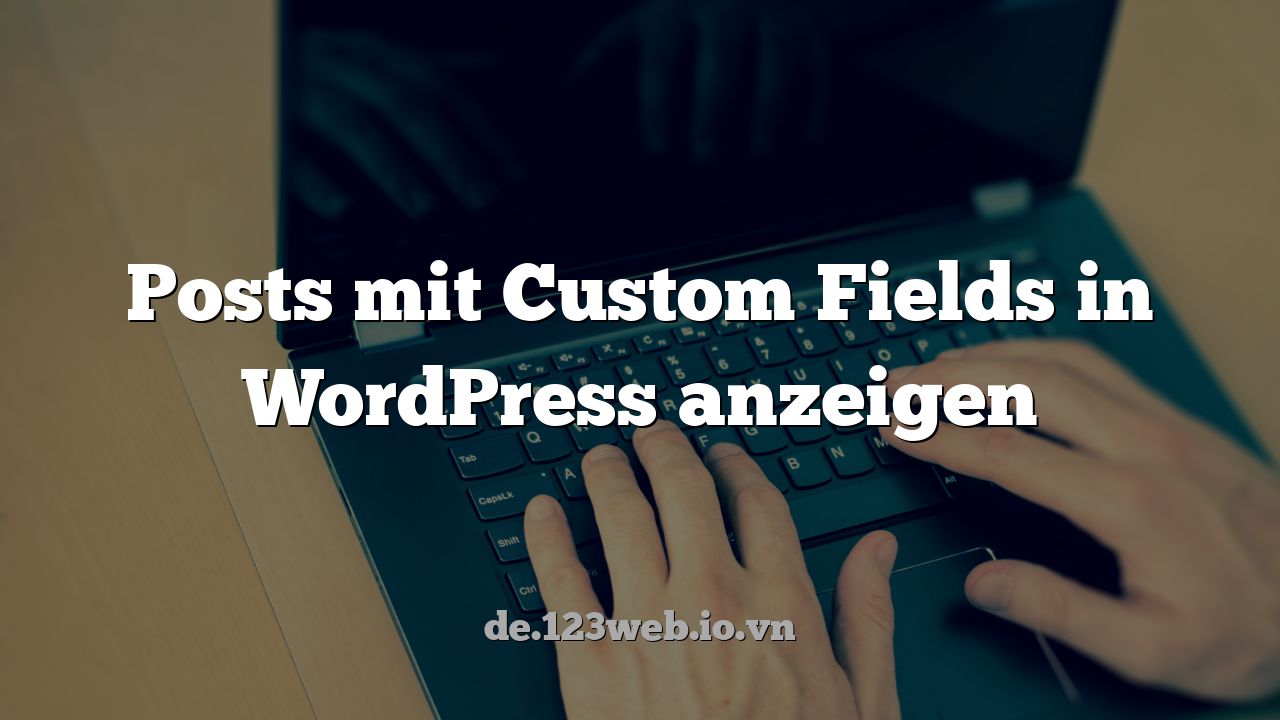 Posts mit Custom Fields in WordPress anzeigen