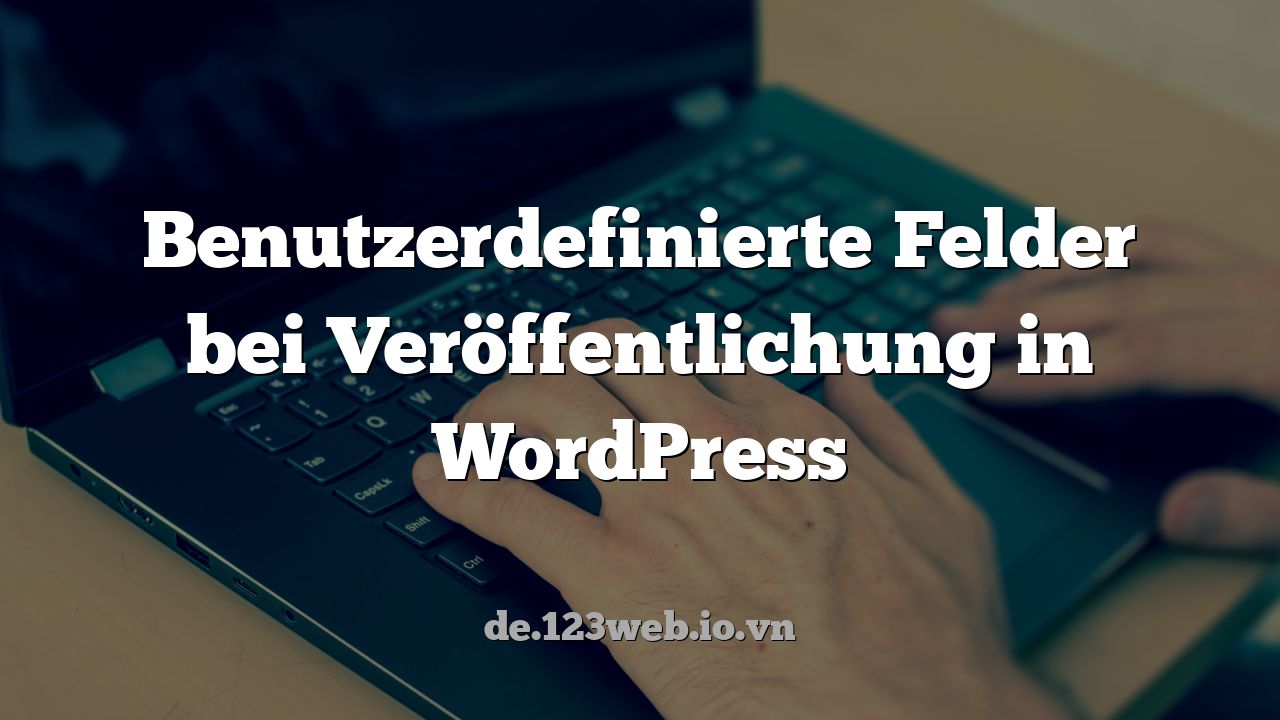 Benutzerdefinierte Felder bei Veröffentlichung in WordPress