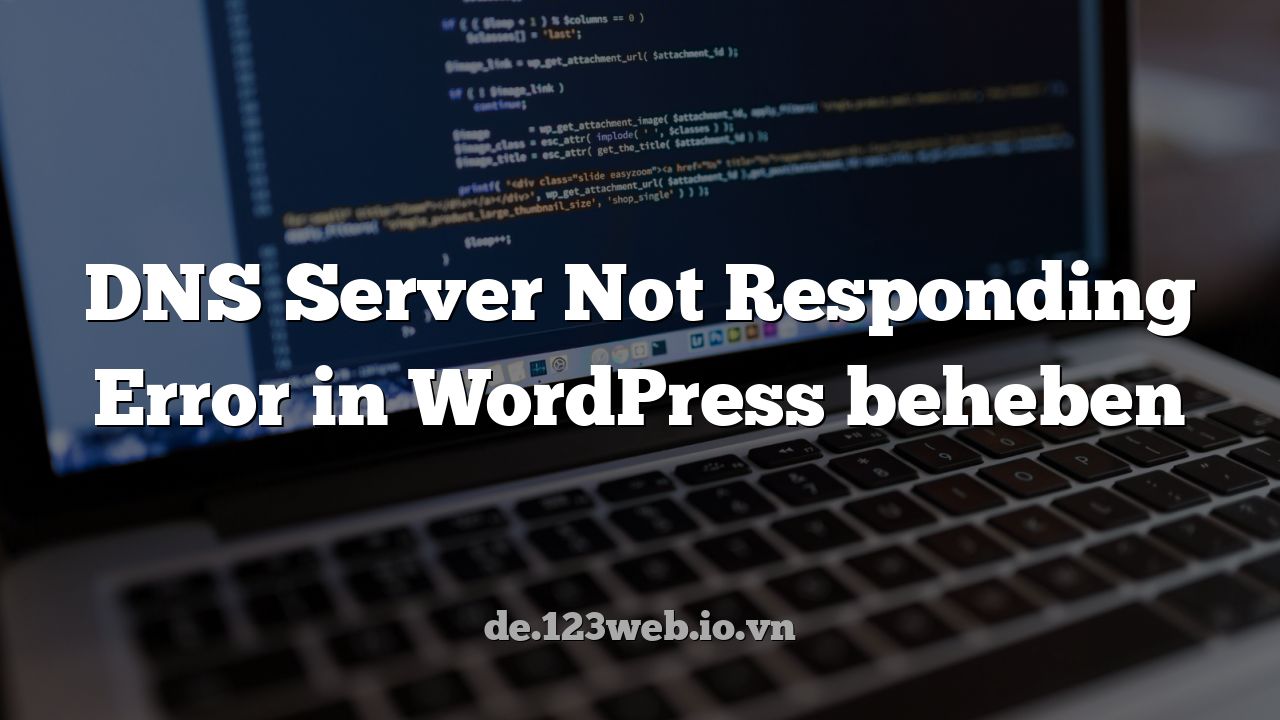 DNS Server Not Responding Error in WordPress beheben
