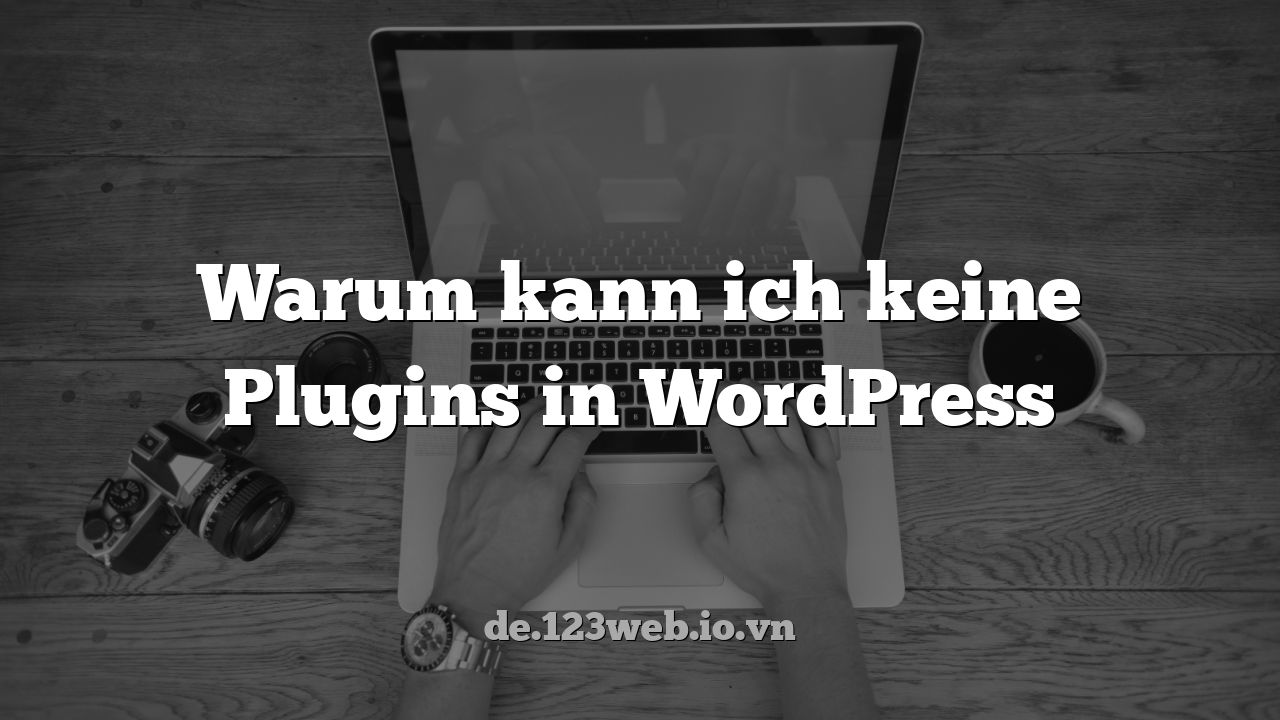 Warum kann ich keine Plugins in WordPress