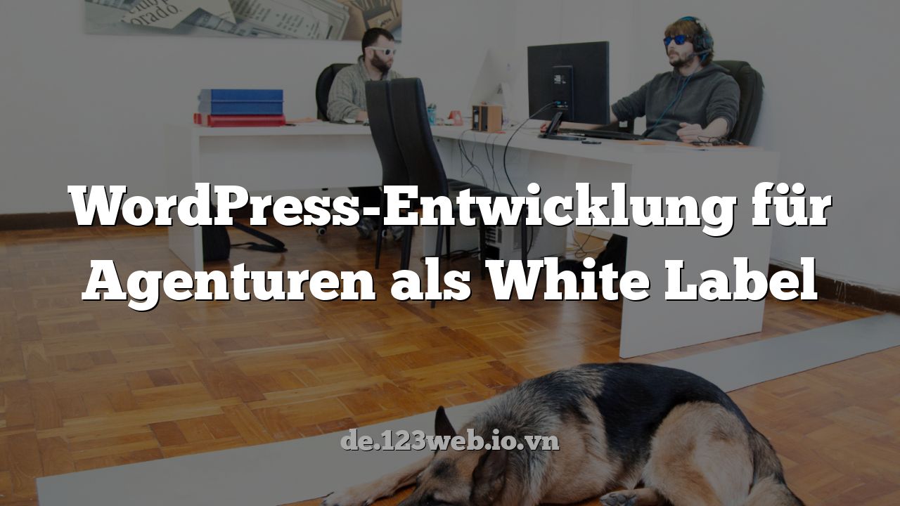 WordPress-Entwicklung für Agenturen als White Label