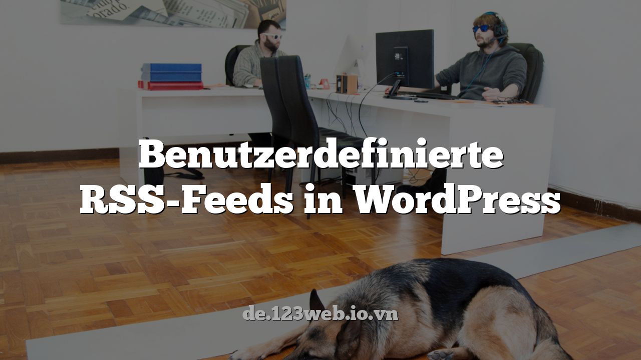 Benutzerdefinierte RSS-Feeds in WordPress