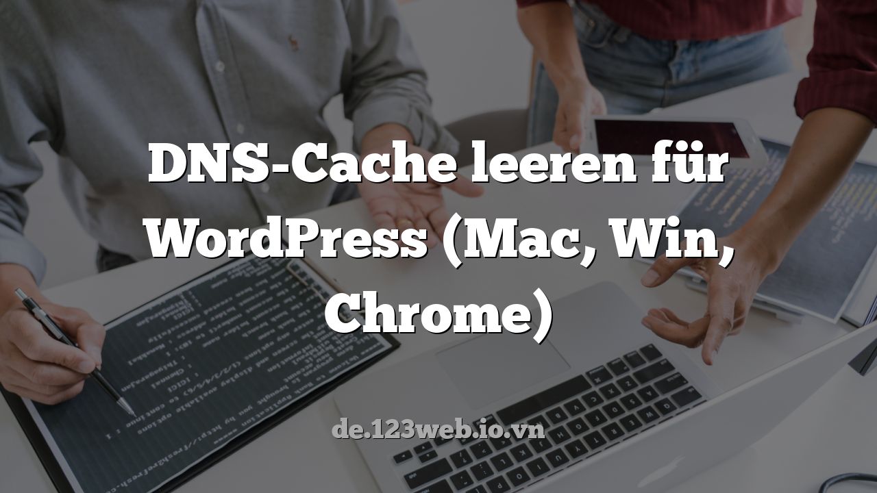 DNS-Cache leeren für WordPress (Mac, Win, Chrome)