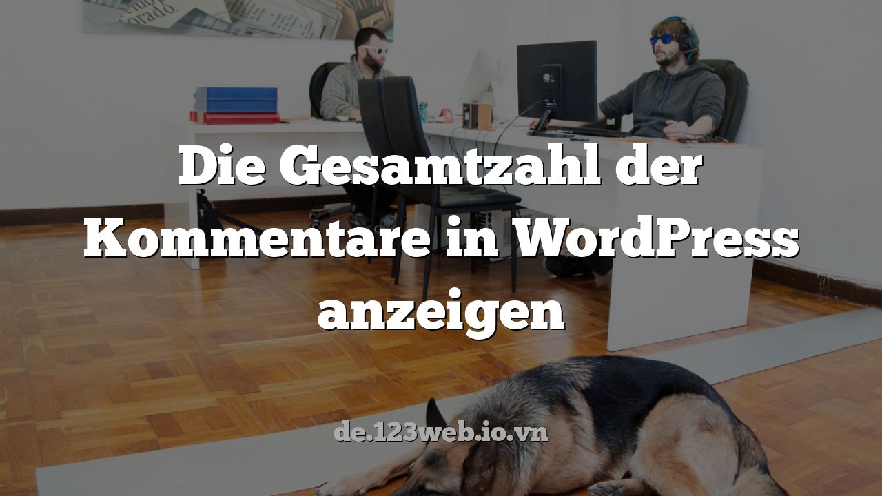 Die Gesamtzahl der Kommentare in WordPress anzeigen