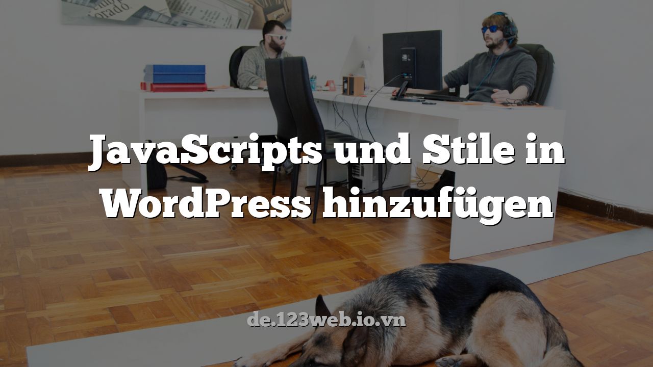 JavaScripts und Stile in WordPress hinzufügen