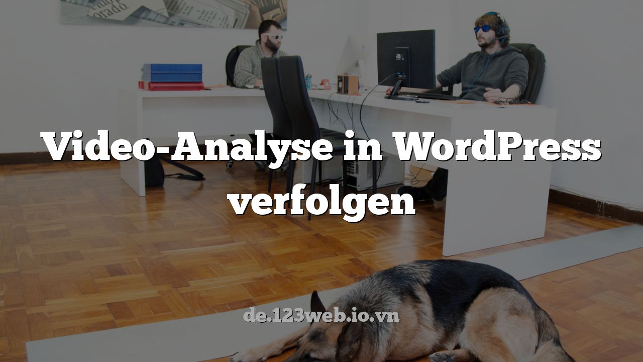 Video-Analyse in WordPress verfolgen