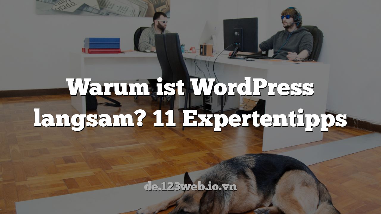 Warum ist WordPress langsam? 11 Expertentipps