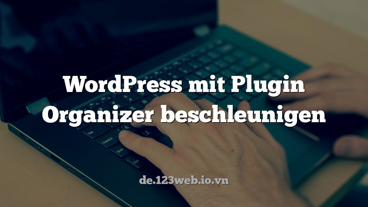 WordPress mit Plugin Organizer beschleunigen