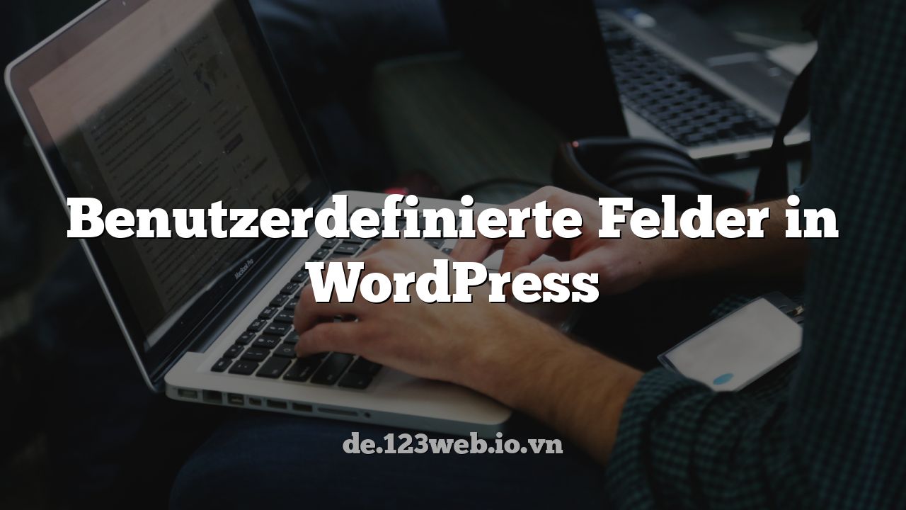 Benutzerdefinierte Felder in WordPress