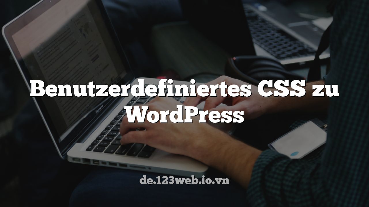Benutzerdefiniertes CSS zu WordPress