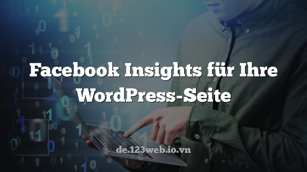 Facebook Insights für Ihre WordPress-Seite