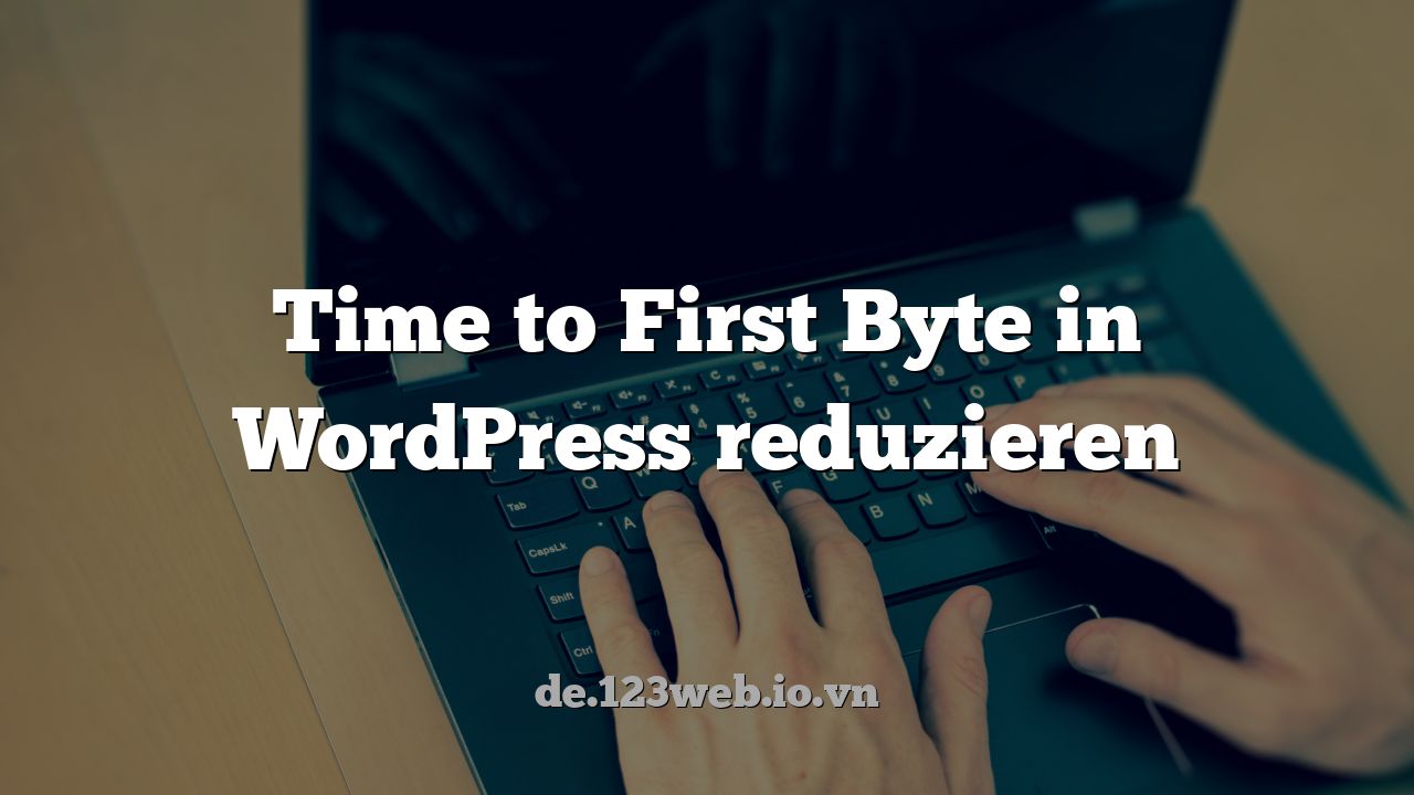 Time to First Byte in WordPress reduzieren